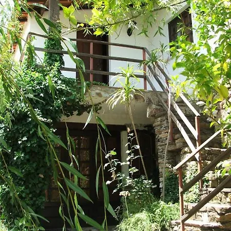 Chão Da Lousa
