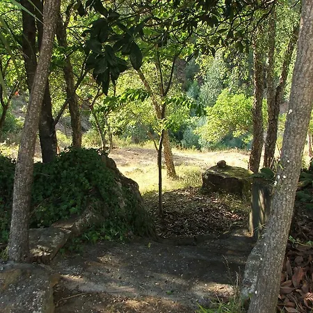 Апартаменты Chao Da Lousa *