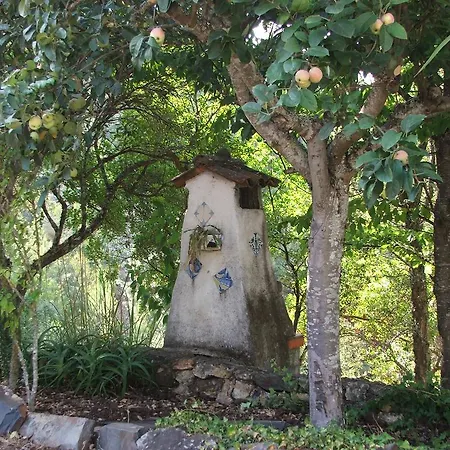 Chao Da Lousa Апартаменты Дорнеш