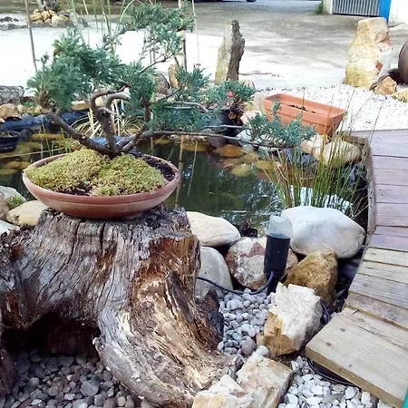 Chao Da Lousa Apartment Dornes