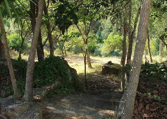 Apartment Chao Da Lousa *