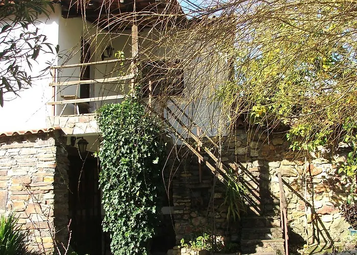 Chao Da Lousa * ドルネス